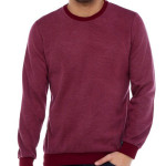 Men's Burgundy Fitted Sweatshirt with Bicycle Collar Thessaloniki