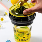 Desenli Konik Limon Sıkacağı 320 Cc