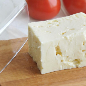 Novita Peynir Saklama Kabı B2274